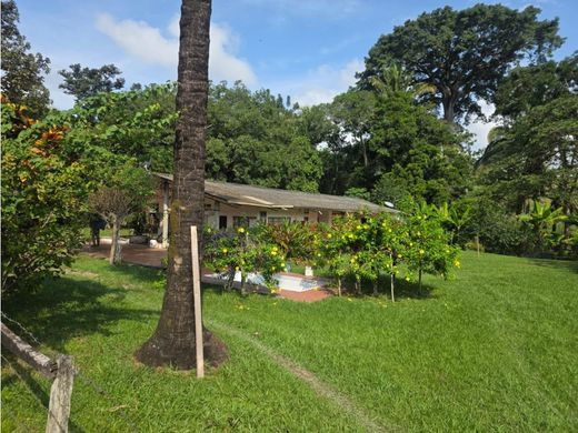 Сельский Дом, Ла-Дорада, La Dorada