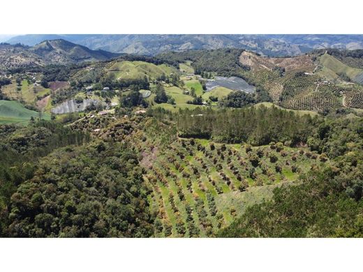 ‏בתים כפריים או חוות ב  Retiro, Departamento de Antioquia