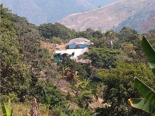 Ferme à Santa Marta, Departamento del Magdalena