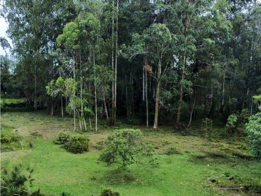 Grundstück in Rionegro, Departamento de Antioquia