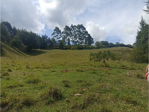 أرض ﻓﻲ Rionegro, Departamento de Antioquia