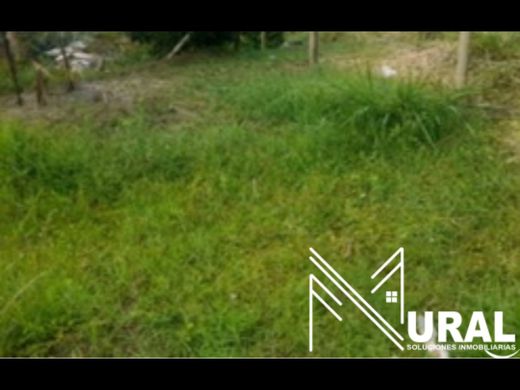 Arsa Armenia, Quindío Department