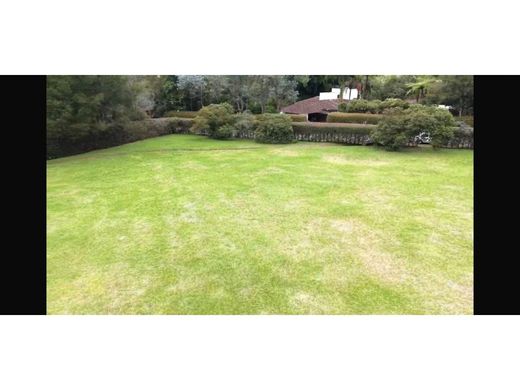 Land in Rionegro, Departamento de Antioquia