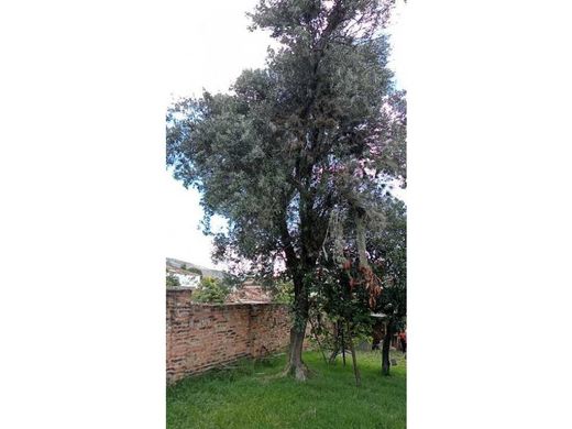 Luxus-Haus in Villa de Leyva, Departamento de Boyacá