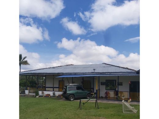 ﻣﻨﺰﻝ ﺭﻳﻔﻲ/ ﺑﻴﺖ ﻤﺰﺭﻋﺔ ﻓﻲ Calarcá, Calarca