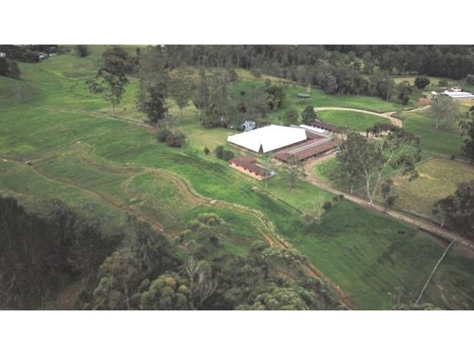 Участок, Rionegro, Departamento de Antioquia