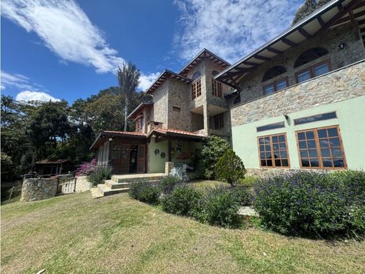 Gospodarstwo w Rionegro, Departamento de Antioquia