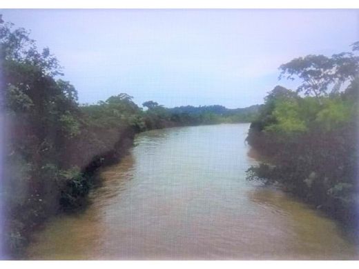 Farmhouse in Norcasia, Departamento de Caldas