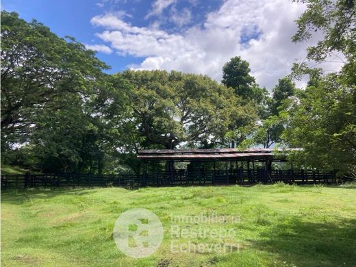 村舍/农舍  La Dorada, Departamento de Caldas