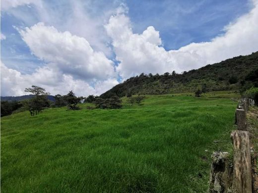 Участок, Rionegro, Departamento de Antioquia