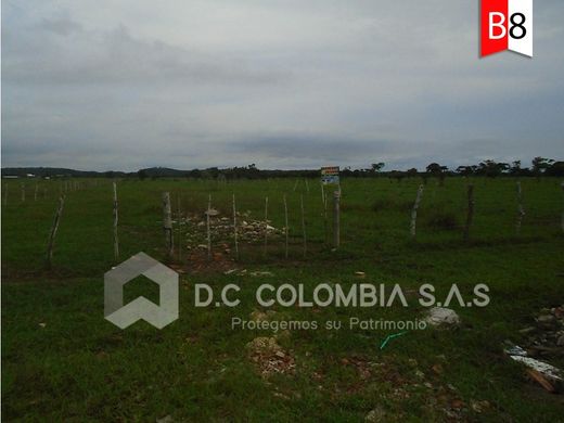 Arsa Cartagena, Cartagena de Indias