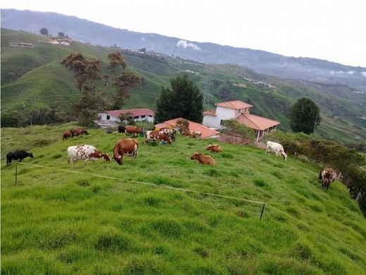 ‏בתים כפריים או חוות ב  Donmatías, Don Matías