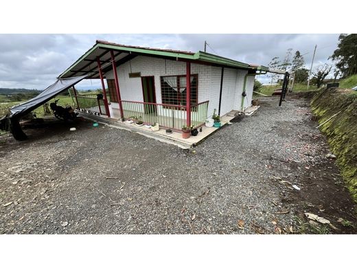 Farmhouse in Filandia, Quindío Department