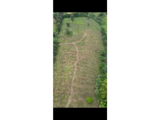 أرض ﻓﻲ Montenegro, Quindío Department