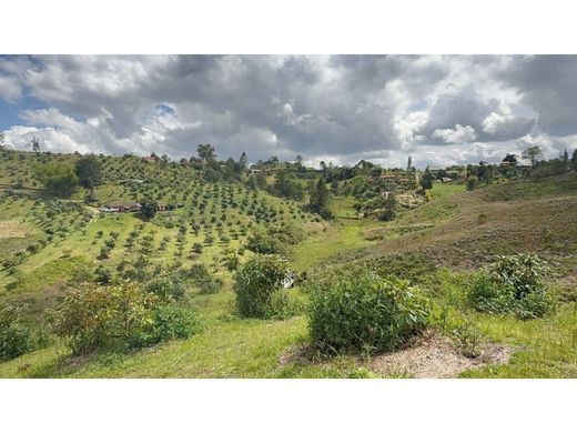 Grundstück in Rionegro, Departamento de Antioquia