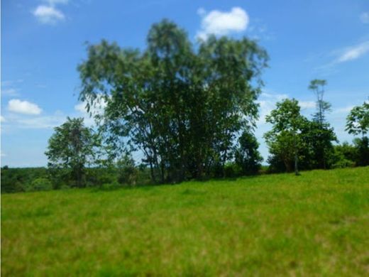 토지 / Bucaramanga, Departamento de Santander