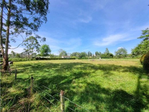 Grundstück in Rionegro, Departamento de Antioquia