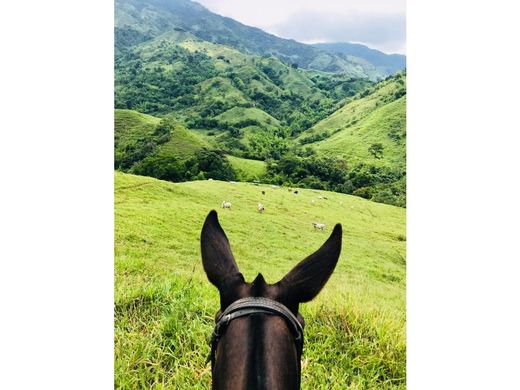 Ρουστίκ ή αγροικία σε Quinchía, Departamento de Risaralda