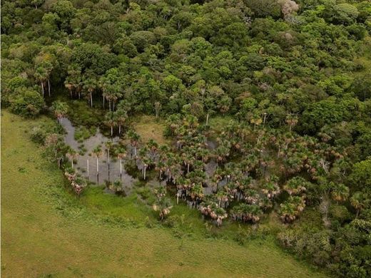 Ρουστίκ ή αγροικία σε Puerto Gaitán, Departamento del Meta