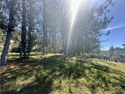 Teren w Retiro, Departamento de Antioquia