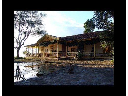 メデリン, Medellínの高級住宅