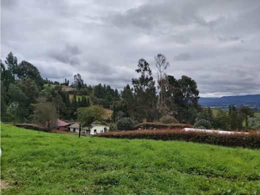 ‏בתים כפריים או חוות ב  Cogua, Departamento de Cundinamarca