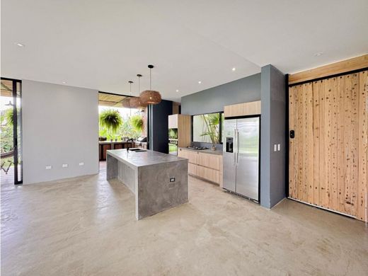 호화 저택 / Cartago, Departamento del Valle del Cauca