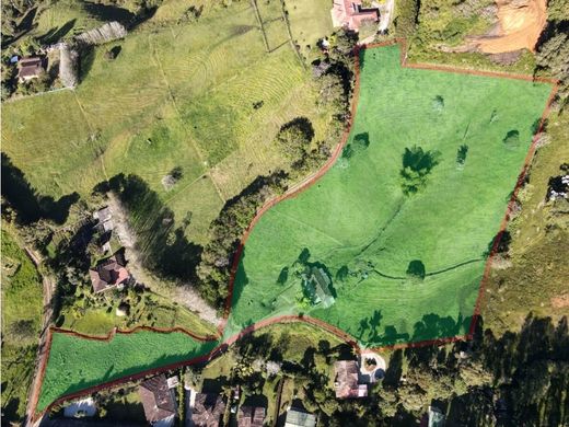 Arsa Rionegro, Departamento de Antioquia