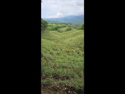 ‏בתים כפריים או חוות ב  Manizales, Departamento de Caldas