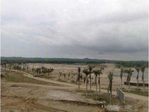 토지 / Cartagena, Cartagena de Indias