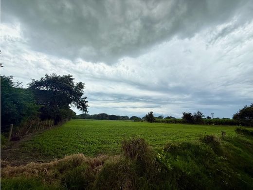 ‏קרקע ב  Palmira, Departamento del Valle del Cauca