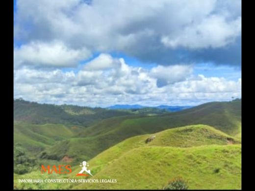 Arsa Cisneros, Departamento de Antioquia