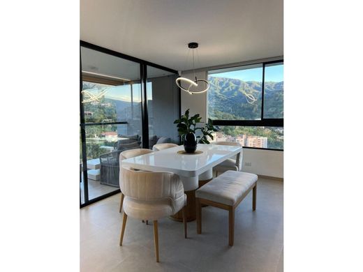 Daire Medellín, Departamento de Antioquia