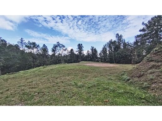 Terreno a Envigado, Departamento de Antioquia