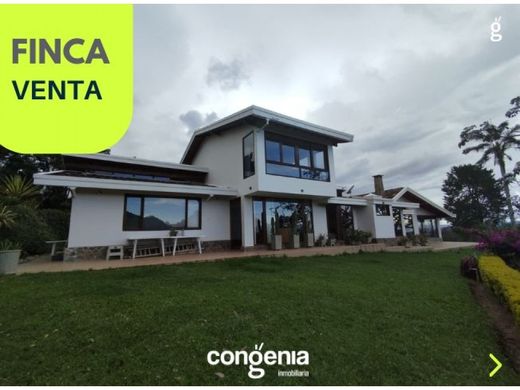 Rustik ya da çiftlik Rionegro, Departamento de Antioquia