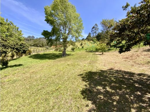 ‏קרקע ב  Rionegro, Departamento de Antioquia