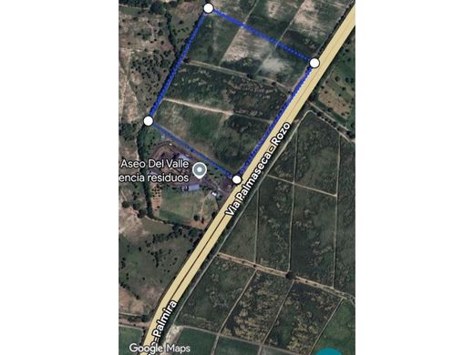 地皮  Palmira, Departamento del Valle del Cauca