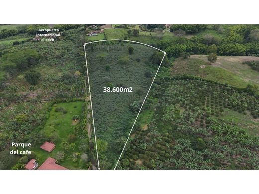 地皮  Montenegro, Quindío Department