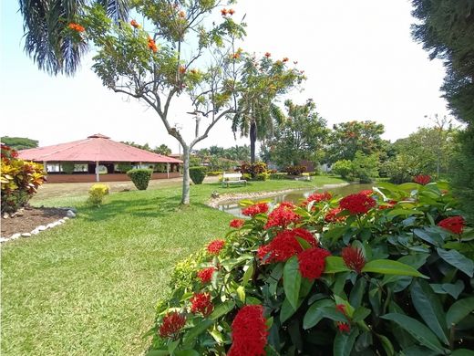 Ferme à Villa Rica, Departamento del Cauca