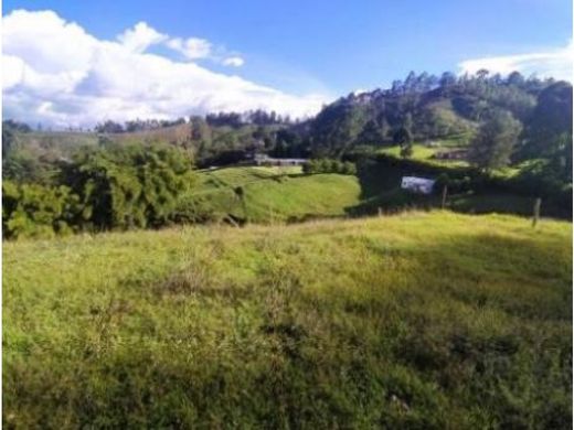 ‏קרקע ב  מדיין
, Medellín