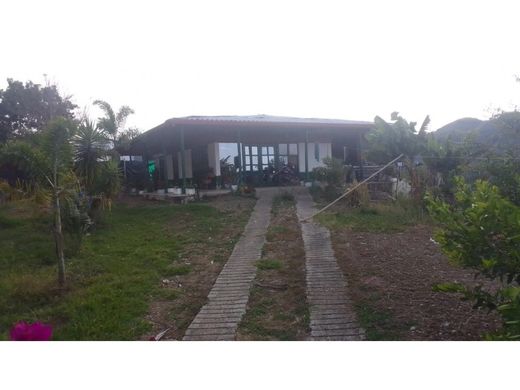 Quinta rústica - Sevilla, Departamento del Valle del Cauca