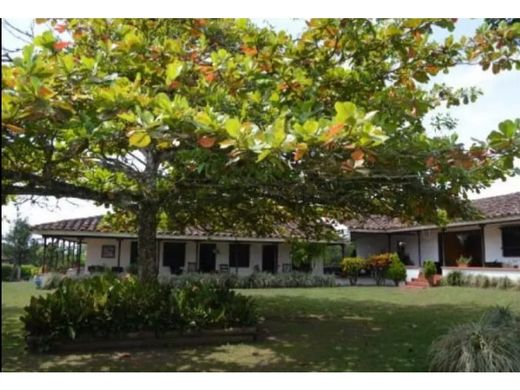 전원/농가 / Quimbaya, Quindío Department