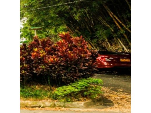 أرض ﻓﻲ Envigado, Departamento de Antioquia