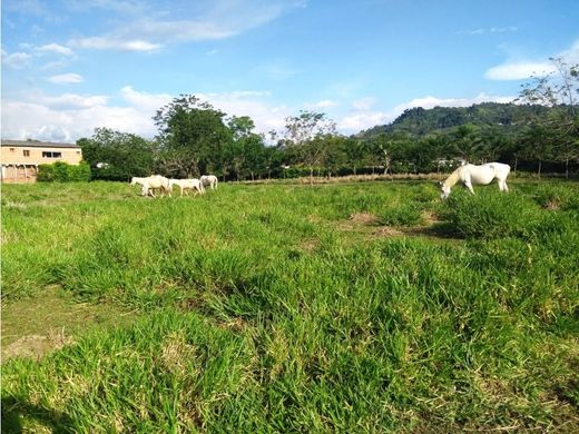 ‏קרקע ב  Manizales, Departamento de Caldas