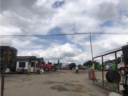 Arsa Armenia, Quindío Department