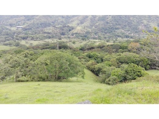 أرض ﻓﻲ Barbosa, Departamento de Antioquia