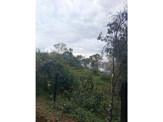 Land in Rionegro, Departamento de Antioquia