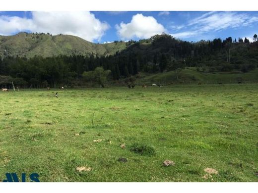Terreno en Guarne, Departamento de Antioquia