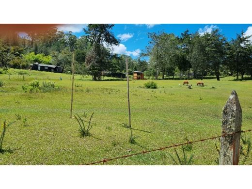 Teren w Retiro, Departamento de Antioquia