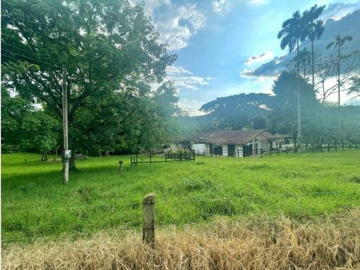 Ferme à La Tebaida, Quindío Department